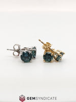 Load image into Gallery viewer, Enchanting Round Teal Montana Stud Earrings
