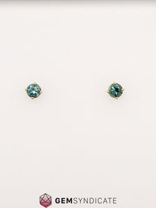 Luxurious Round Teal Montana Sapphire Stud Earrings