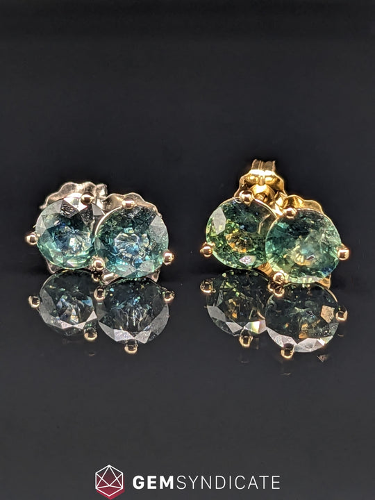 Gorgeous Round Teal Montana Stud Earrings