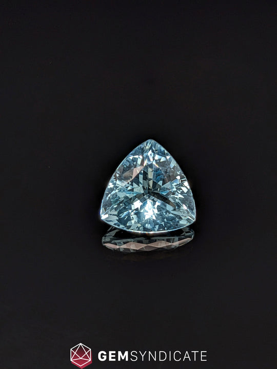 Sophisticated Trillion Blue Aquamarine 5.43ct