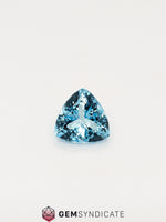 Load image into Gallery viewer, Sophisticated Trillion Blue Aquamarine 5.43ct
