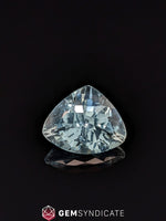 Load image into Gallery viewer, Graceful Trillion Blue Aquamarine 9.59ct
