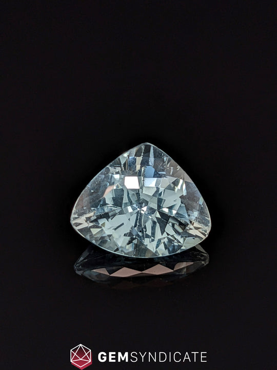 Graceful Trillion Blue Aquamarine 9.59ct
