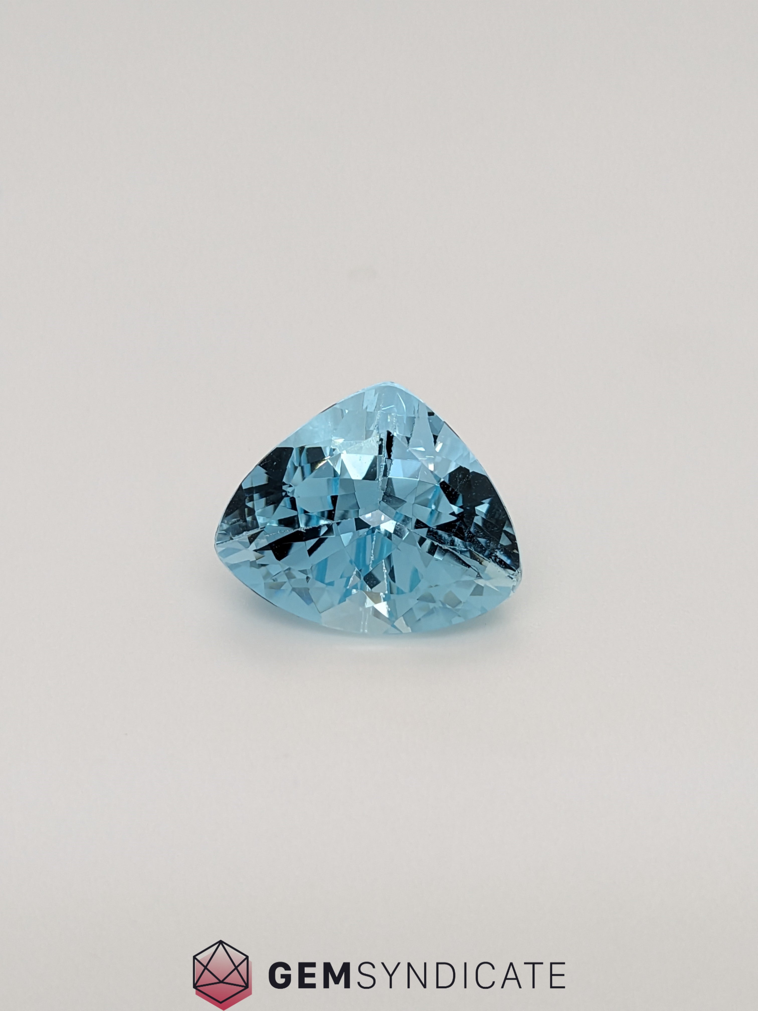 Graceful Trillion Blue Aquamarine 9.59ct