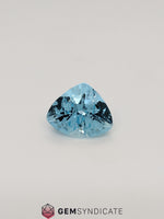 Load image into Gallery viewer, Graceful Trillion Blue Aquamarine 9.59ct
