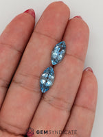 Load image into Gallery viewer, Divine Marquise Blue Aquamarine Pair 5.06ctw
