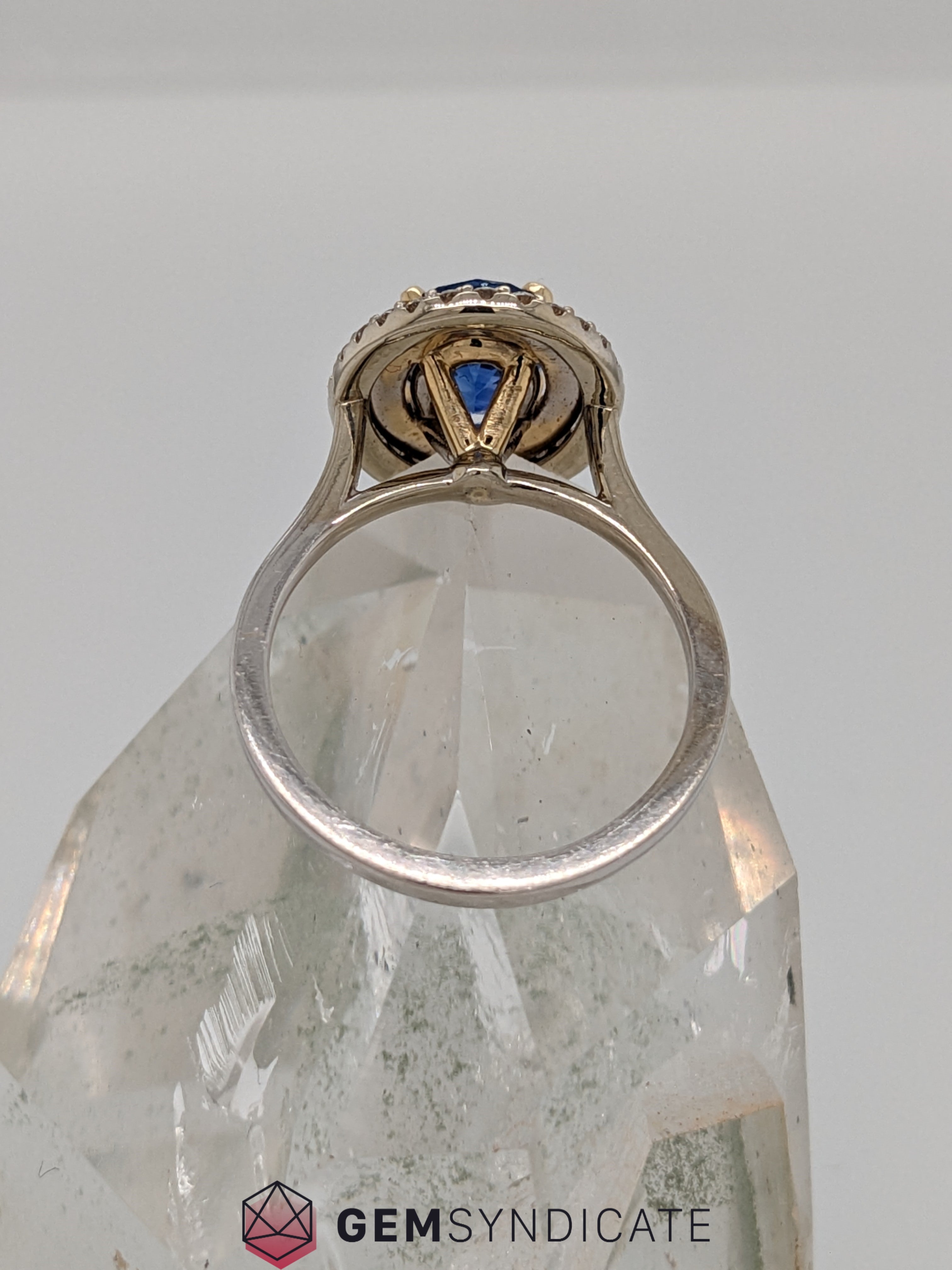 Powerful Blue Sapphire 2 Tone Ring in14k White & Yellow Gold