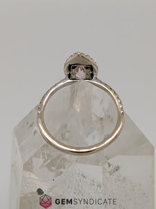 Pretty Peach Sapphire Ring in 14k White Gold