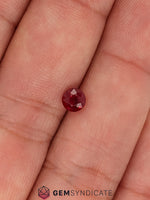 Load image into Gallery viewer, Charming Round Ruby 0.66ct
