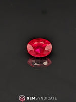 Load image into Gallery viewer, Dramatic Oval Red Ruby 1.35ct

