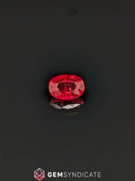 Load image into Gallery viewer, Bold Oval Red Ruby 1.13ct
