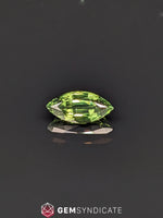 Load image into Gallery viewer, Powerful Marquise Green Sapphire 1.51ct
