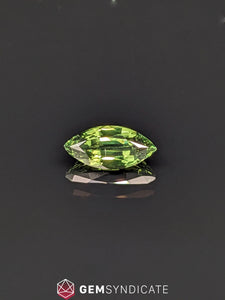 Powerful Marquise Green Sapphire 1.51ct
