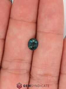 Gorgeous Oval Teal Sapphire 1.03ct