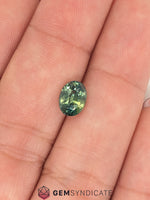 Load image into Gallery viewer, Lovely Oval Teal Sapphire 1.72ct
