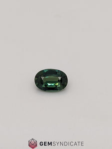 Divine Oval Teal Sapphire 1.53ct