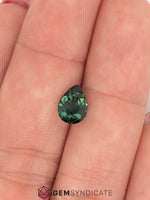 Load image into Gallery viewer, Beautiful Pear Shape Teal Sapphire 2.08ct
