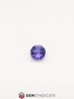 Load image into Gallery viewer, Delicate Round Purple Sapphire 0.66ct
