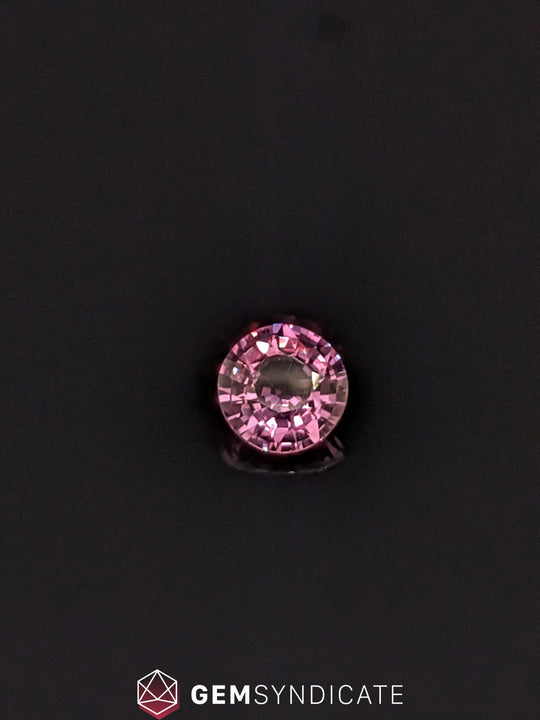Dramatic Round Purple Sapphire 1.28ct