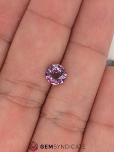 Dramatic Round Purple Sapphire 1.28ct