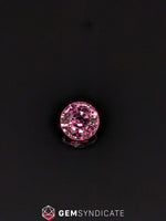 Load image into Gallery viewer, Captivating Round Purple Sapphire 1.39ct
