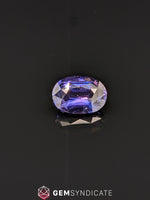 Load image into Gallery viewer, Regal Oval Purple Sapphire 1.53ct
