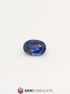 Regal Oval Purple Sapphire 1.53ct