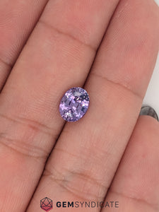 Glamorous Oval Purple Sapphire 1.98ct