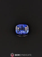 Load image into Gallery viewer, Impressive Cushion Purple Sapphire 1.72ct
