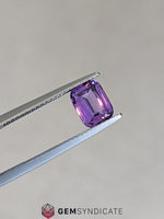 Load image into Gallery viewer, Stunning Cushion Purple Sapphire 1.70ct
