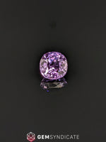 Load image into Gallery viewer, Heavenly Cushion Purple Sapphire 1.42ct
