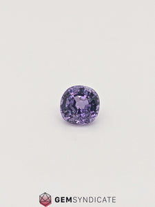 Heavenly Cushion Purple Sapphire 1.42ct
