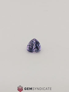 Charismatic Trillion Purple Sapphire 0.58ct