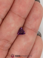 Load image into Gallery viewer, Astounding Trillion Purple Sapphire 1.05ct

