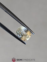Load image into Gallery viewer, Flirty Cushion Yellow Sapphire 1.83ct
