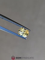 Load image into Gallery viewer, Brilliant Elongate Hexagon Yellow Sapphire 1.16ct
