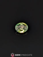 Load image into Gallery viewer, Energetic Oval Parti Sapphire 2.03ct
