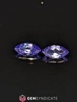 Load image into Gallery viewer, Enchanting Marquise Blue Tanzanite 1.74ctw Pair
