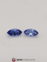 Load image into Gallery viewer, Enchanting Marquise Blue Tanzanite 1.74ctw Pair
