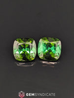 Load image into Gallery viewer, Divine Cushion Green Tourmaline Pair 9.52ctw
