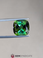Load image into Gallery viewer, Electric Cushion Green Tourmaline 8.76ct
