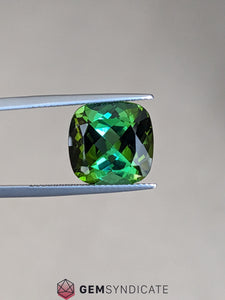 Electric Cushion Green Tourmaline 8.76ct