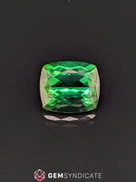 Load image into Gallery viewer, Dramatic Cushion Green Tourmaline 8.74ct
