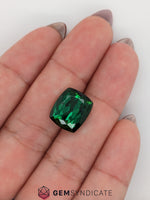 Load image into Gallery viewer, Dramatic Cushion Green Tourmaline 8.74ct
