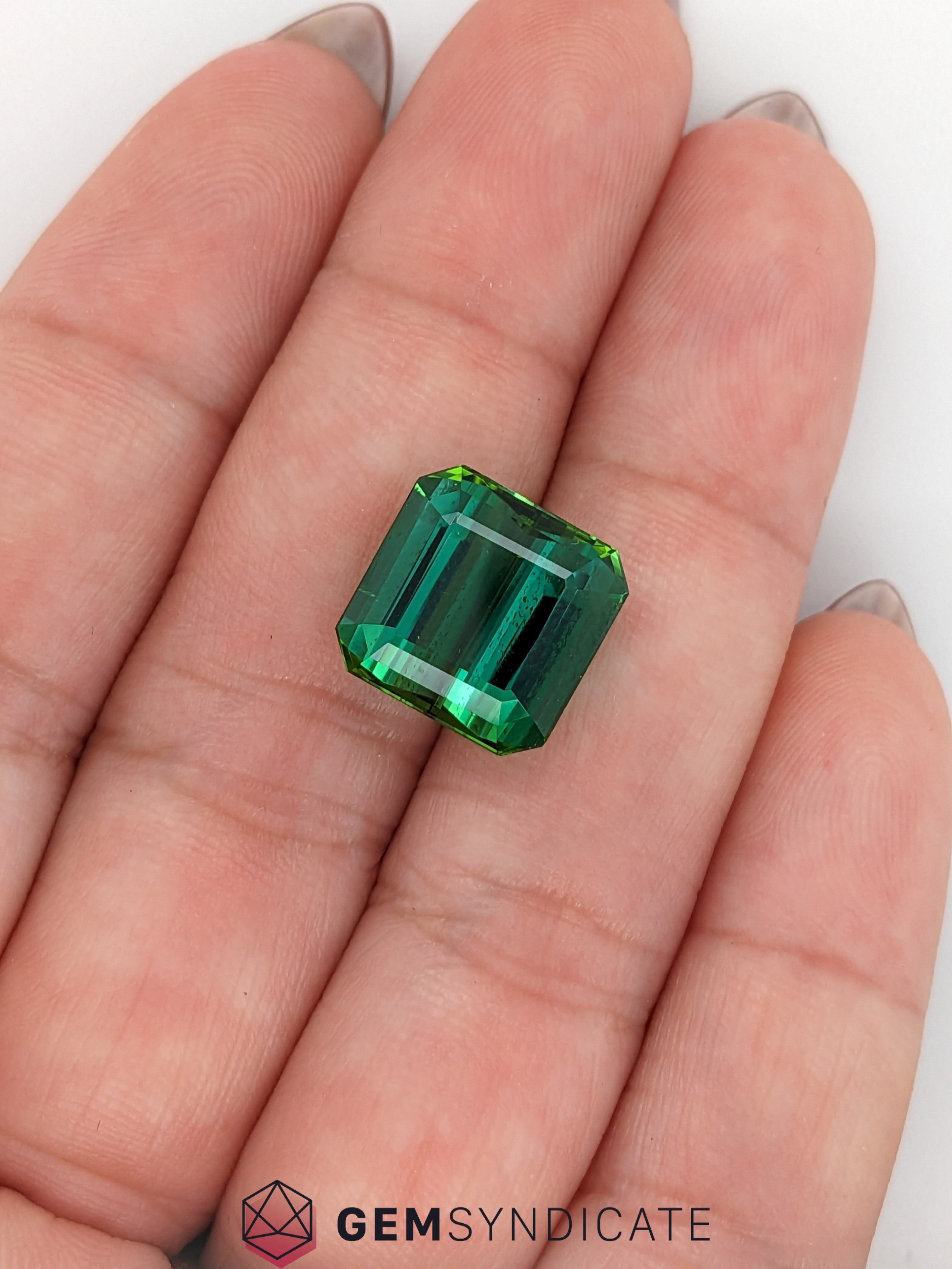 Gorgeous Emerald Cut Green Tourmaline 9.53ct