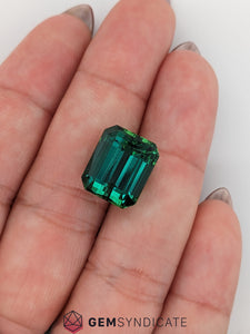 Empowering Emerald Cut Green Tourmaline 12.24ct