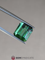 Load image into Gallery viewer, Sublime Emerald Cut Green Tourmaline 6.54ct
