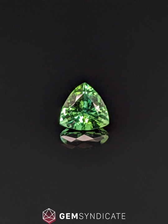 Glamorous Trillion Green Tourmaline 2.34ct