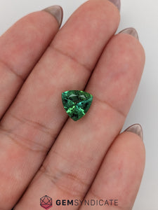Glamorous Trillion Green Tourmaline 2.34ct