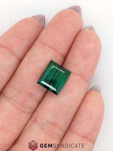 Bold Rectangle Green Tourmaline 6.42ct